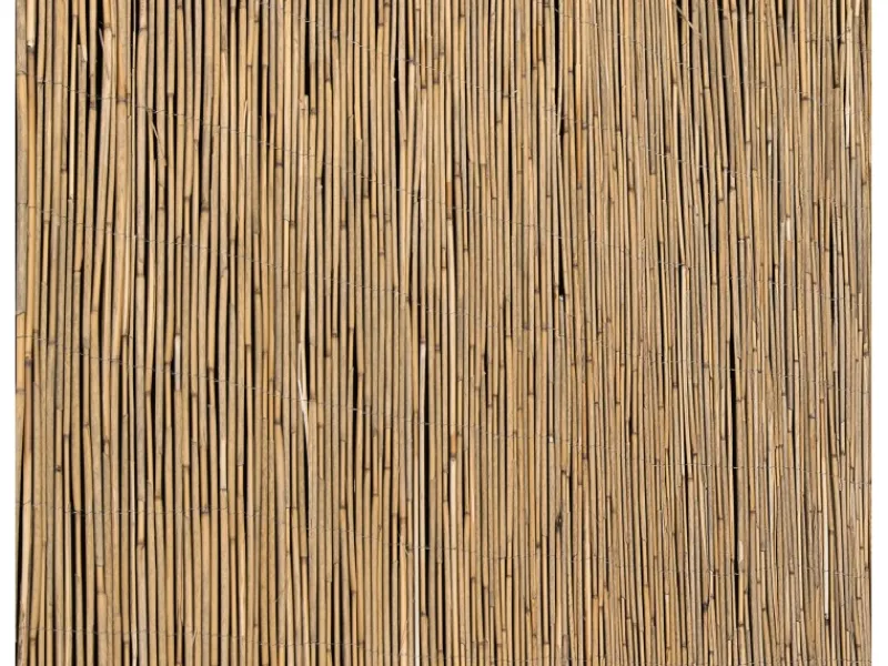 Balkonsichtschutz|Balkonsichtschutz|Schilfrohrmatte 160 cm x 600 cm