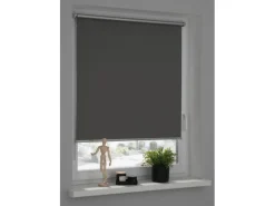 Schöner Wohnen Thermo-Rollo Martha 60 cm x 150 cm*Schöner Wohnen Kollektion Sale