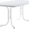 Sieger Gartentische|Klapptisch Rechteckig 90 cm x 150 cm