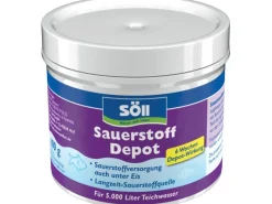 Sauerstoff Depot-Tabs 10 Tabs*Söll Discount