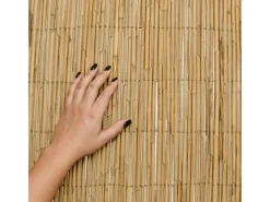 Sol Royal Balkonsichtschutz|SolVision S36 Sichtschutzzaun 160x300cm Schilf