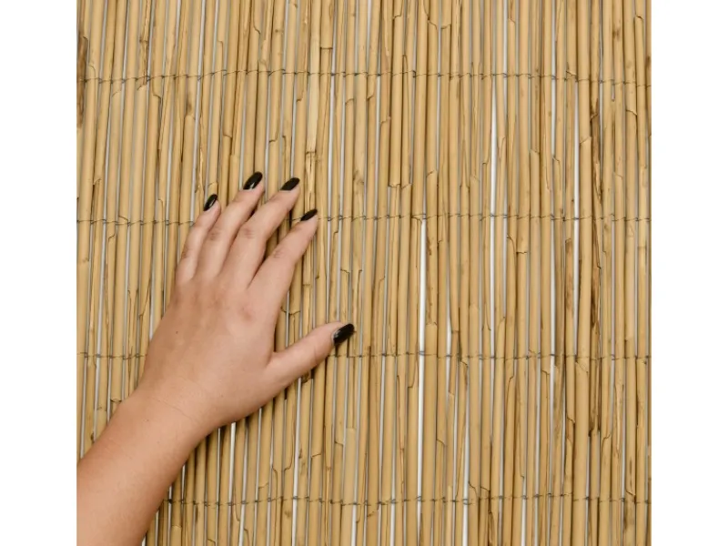 Sol Royal Balkonsichtschutz|SolVision S36 Sichtschutzzaun 160x300cm Schilf