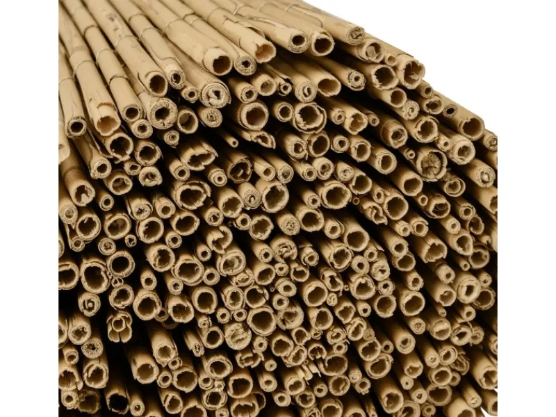 Sol Royal Balkonsichtschutz|SolVision S36 Sichtschutzzaun 160x300cm Schilf