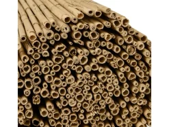 Sol Royal Balkonsichtschutz|SolVision S36 Sichtschutzzaun 180x600cm Schilf