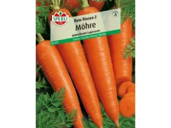 Sperli Spaten|Möhren "Rote Riesen 2"