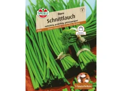 Schnittlauch "Staro"*Sperli