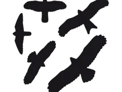 Swissinno Weitere Gartenhelfer|Fensteraufkleber Vogelbilder 5er