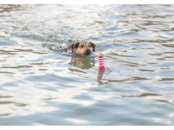 Spielzeug Aqua Toy Leuchtturm aus TPR 20 cm*Trixie