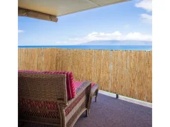 Sichtschutz Schilf 90 x 600 cm Braun*urfence Online