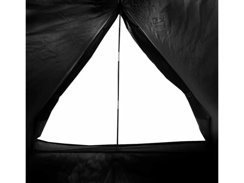 Campingzubehör|vidaXL Camping-Keilzelt 2 Personen Verdunkelt Wasserdicht 94758