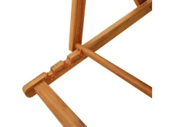 vidaXL Strandstühle 2 Stk Klappbar Akazienholz & Textilene 3325142* Discount