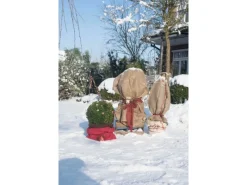 Winterschutz Jutesack Natur 110 cm x 60 cm*Videx Garden Hot