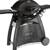 Weber Gasgrills|Gasgrill Q 3200 Black Line mit 2 Brennern