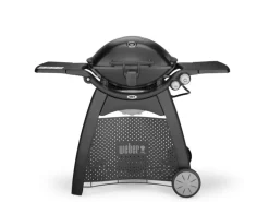 Weber Gasgrills|Gasgrill Q 3200 Black Line mit 2 Brennern