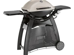 Gasgrill Q 3000 mit 2 Brennern*Weber Clearance