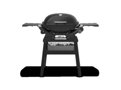 Gasgrill Q2200N mit Stand Schwarz*Weber