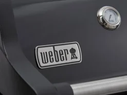 Weber Gasgrills|Gasgrill Spirit E-325S GBS mit 3 Brennern und Sear Zone Schwarz