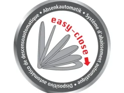 WC-Sitz Exclusive passend für Geberit Renova1 Plan*Wenko Hot