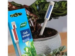 Westland Hydrokultur|Gießanzeiger 16 cm