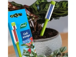 Gießanzeiger 16 cm*Westland Online