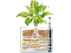 Westland Hydrokultur|Tongranulat Blähton 25 l