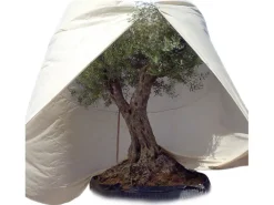 Videx Weitere Gartenhelfer|Winterschutz Vlieshaube Mediterran Beige 350 cm x 250 cm